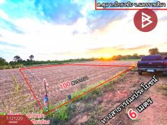 ขายด่วนที่ดิน 100 ตารางวา บ้านหนองปรือ ปักธงชัย นครราชสีมา-202509111213101757567590575.jpg