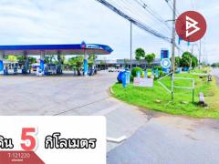 ขายด่วนที่ดิน 100 ตารางวา บ้านหนองปรือ ปักธงชัย นครราชสีมา-202509111213111757567591620.jpg