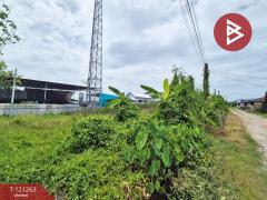 ขายที่ดินเปล่า-เนื้อที่-100-ตารางวา-พา