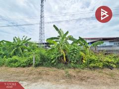 ขายที่ดินเปล่า เนื้อที่ 100 ตารางวา พานทอง ชลบุรี-202509111226371757568397847.jpg