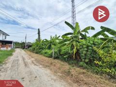 ขายที่ดินเปล่า เนื้อที่ 100 ตารางวา พานทอง ชลบุรี-202509111226381757568398378.jpg