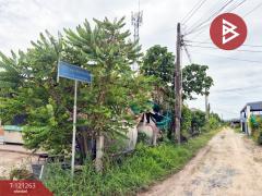 ขายที่ดินเปล่า เนื้อที่ 100 ตารางวา พานทอง ชลบุรี-202509111226391757568399441.jpg