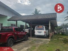  ขายบ้านเดี่ยวพร้อมที่ดิน เนื้อที่ 305.6 ตารางวา อ.สันทราย เชียงใหม่ ทำเลดี ติดถนนใหญ่-202509111231341757568694233.jpg