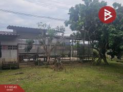  ขายบ้านเดี่ยวพร้อมที่ดิน เนื้อที่ 305.6 ตารางวา อ.สันทราย เชียงใหม่ ทำเลดี ติดถนนใหญ่-202509111231371757568697877.jpg