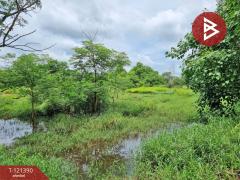 ขายที่ดิน-เนื้อที่-5-ไร่-3-งาน-8.5-ตร.วา-ล