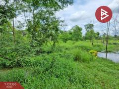 ขายที่ดิน เนื้อที่ 5 ไร่ 3 งาน 8.5 ตร.วา ลำลูกกา ปทุมธานี-202509111327281757572048306.jpg