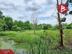 ขายที่ดิน เนื้อที่ 5 ไร่ 3 งาน 8.5 ตร.วา ลำลูกกา ปทุมธานี-202509111327301757572050255.jpg