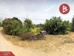 ขายที่ดิน เนื้อที่ 5 ไร่ 3 งาน 8.5 ตร.วา ลำลูกกา ปทุมธานี-202509111327301757572050777.jpg