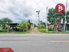 ขายที่ดิน เนื้อที่ 5 ไร่ 3 งาน 8.5 ตร.วา ลำลูกกา ปทุมธานี-202509111327311757572051292.jpg