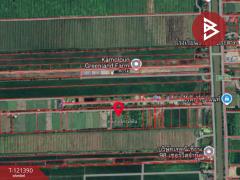 ขายที่ดิน เนื้อที่ 5 ไร่ 3 งาน 8.5 ตร.วา ลำลูกกา ปทุมธานี-202509111327321757572052857.jpg