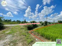 ที่ดินเปล่าหน้ากว้างติดถนน4เลน สายพิษณุโลก-เด่นชัย(ทางหลวงหมายเลข11) พร้อมโอน-202509111419081757575148312.jpg