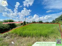 ที่ดินเปล่าหน้ากว้างติดถนน4เลน สายพิษณุโลก-เด่นชัย(ทางหลวงหมายเลข11) พร้อมโอน-202509111419081757575148820.jpg