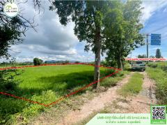 ที่ดินเปล่าหน้ากว้างติดถนน4เลน สายพิษณุโลก-เด่นชัย(ทางหลวงหมายเลข11) พร้อมโอน-202509111419091757575149354.jpg