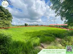 ที่ดินเปล่าหน้ากว้างติดถนน4เลน สายพิษณุโลก-เด่นชัย(ทางหลวงหมายเลข11) พร้อมโอน-202509111419091757575149862.jpg