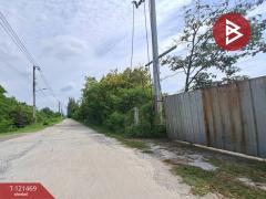 ขายที่ดิน เนื้อที่ 4 ไร่ 3 งาน 1 ตารางวา ซอยขนำนอก19 พานทอง ชลบุรี-202509111434361757576076597.jpg