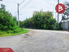 ขายที่ดิน เนื้อที่ 4 ไร่ 3 งาน 1 ตารางวา ซอยขนำนอก19 พานทอง ชลบุรี-202509111434371757576077650.jpg