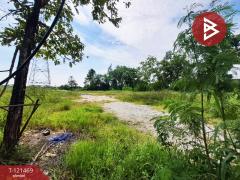 ขายที่ดิน เนื้อที่ 4 ไร่ 3 งาน 1 ตารางวา ซอยขนำนอก19 พานทอง ชลบุรี-202509111434381757576078178.jpg