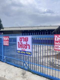 ขายโกดังโรงงานอยู่ซอยแก้วอิน ตำบลบางแม่นาง อำเภอบางใหญ่ จังหวัดนนทบุรี