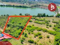 ขายที่ดิน เนื้อที่ 5 ไร่ 3 งาน 9 ตร.วา กำแพงแสน นครปฐม