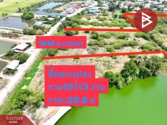 ขายที่ดิน เนื้อที่ 5 ไร่ 3 งาน 9 ตร.วา กำแพงแสน นครปฐม-202509111642241757583744267.jpg