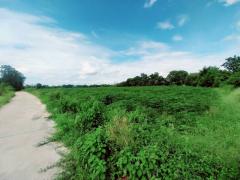 ขายที่ดินเปล่า วิวเขา 53-1-55  ไร่  วังม้า  ลาดยาว นครสวรรค์   ZK526