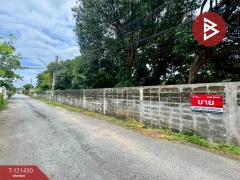 ขายด่วนที่ดิน เนื้อที่ 1 ไร่ ศรีราชา ชลบุรี-202509111658501757584730711.jpg