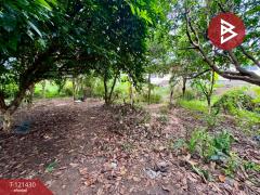 ขายด่วนที่ดิน เนื้อที่ 1 ไร่ ศรีราชา ชลบุรี-202509111658521757584732308.jpg