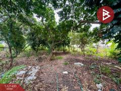 ขายด่วนที่ดิน เนื้อที่ 1 ไร่ ศรีราชา ชลบุรี-202509111658521757584732849.jpg