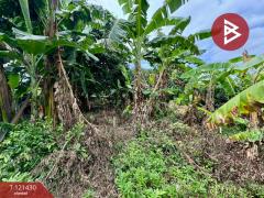 ขายด่วนที่ดิน เนื้อที่ 1 ไร่ ศรีราชา ชลบุรี-202509111658531757584733382.jpg