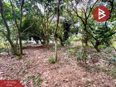 ขายด่วนที่ดิน เนื้อที่ 1 ไร่ ศรีราชา ชลบุรี-202509111658541757584734443.jpg