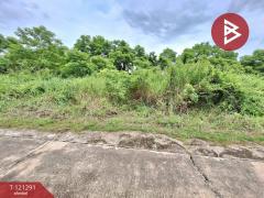 ขายที่ดินเปล่าถมแล้ว-เนื้อที่-200-ตาร