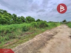 ขายที่ดินเปล่าถมแล้ว เนื้อที่ 200 ตารางวา ลำลูกกา-คลอง 12 ปทุมธานี-202509111713471757585627993.jpg