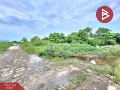 ขายที่ดินเปล่าถมแล้ว เนื้อที่ 200 ตารางวา ลำลูกกา-คลอง 12 ปทุมธานี-202509111713481757585628533.jpg