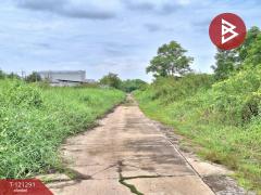 ขายที่ดินเปล่าถมแล้ว เนื้อที่ 200 ตารางวา ลำลูกกา-คลอง 12 ปทุมธานี-202509111713491757585629064.jpg