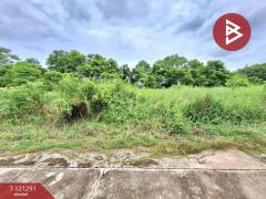 ขายที่ดินเปล่าถมแล้ว เนื้อที่ 200 ตารางวา ลำลูกกา-คลอง 12 ปทุมธานี-202509111713491757585629611.jpg