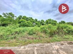 ขายที่ดินเปล่าถมแล้ว เนื้อที่ 200 ตารางวา ลำลูกกา-คลอง 12 ปทุมธานี-202509111713501757585630157.jpg