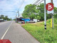 ขายที่ดินเปล่าถมแล้ว เนื้อที่ 200 ตารางวา ลำลูกกา-คลอง 12 ปทุมธานี-202509111713511757585631210.jpg