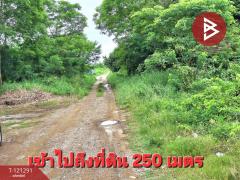 ขายที่ดินเปล่าถมแล้ว เนื้อที่ 200 ตารางวา ลำลูกกา-คลอง 12 ปทุมธานี-202509111713511757585631739.jpg