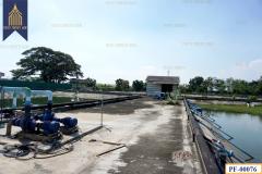 โรงงาน พร้อมบ่อบำบัดน้ำเสีย บางนา-ตราด วัดศรีวารี บางเสาธง ใกล้สนามบินสุวรรณภูมิ-202509111912271757592747136.jpg