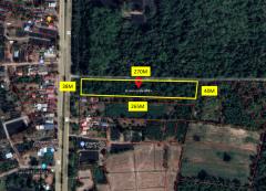 ให้เช่าที่ดิน อำเภอวังทอง ติดถนนอินทร์บุรี-วังทองเบอร์ 11 พิษณุโลก 6 ไร่ 2 งาน 60 ตร.วา เหมาะทำการค้า ธุรกิจ-202509120906261757642786302.jpg