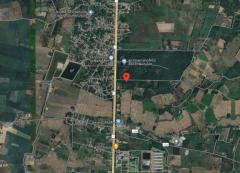 ให้เช่าที่ดิน อำเภอวังทอง ติดถนนอินทร์บุรี-วังทองเบอร์ 11 พิษณุโลก 6 ไร่ 2 งาน 60 ตร.วา เหมาะทำการค้า ธุรกิจ-202509120906261757642786826.jpg