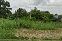 ให้เช่าที่ดิน อำเภอวังทอง ติดถนนอินทร์บุรี-วังทองเบอร์ 11 พิษณุโลก 6 ไร่ 2 งาน 60 ตร.วา เหมาะทำการค้า ธุรกิจ-202509120906271757642787342.jpg