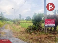 ขายที่ดิน เนื้อที่ 1 ไร่ 1 งาน 70 ตร.วา แม่วาง เชียงใหม่
