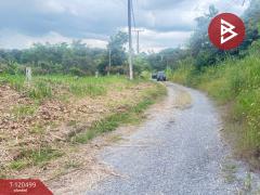 ขายที่ดิน เนื้อที่ 1 ไร่ 1 งาน 70 ตร.วา แม่วาง เชียงใหม่-202509121033001757647980406.jpg
