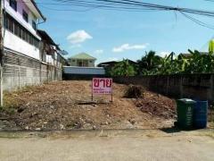 ที่ดินทำเลทอง 118 ตร.ว. หน้ากว้าง 11 ม. 80 ซม. ลึก 40 ม. ใจกลางเมืองใกล้ชายโขง ขายตรงโดยเจ้าของที่ดิน-202509121312221757657542362.jpg
