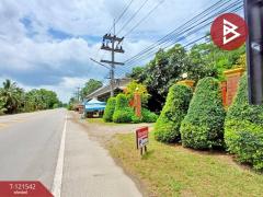 ขายบ้านเดี่ยวพร้อมกิจการ เนื้อที่ 1 ไร่ 3 งาน 66 ตร.วา ดำเนินสะดวก ราชบุรี-202509121339381757659178734.jpg
