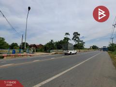 ขายที่ดิน เนื้อที่ 2 ไร่ บางใหญ่ นนทบุรี-202509121509041757664544381.jpg