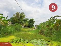 ขายที่ดิน เนื้อที่ 2 ไร่ บางใหญ่ นนทบุรี-202509121509061757664546974.jpg