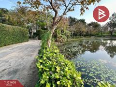 ขายบ้านเดี่ยวสุดหรู โครงการบ้านภูปลายฟ้า เชียงราย ใกล้วัดร่องขุ่น-202509121534081757666048767.jpg