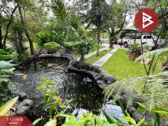 ขายบ้านเดี่ยวสุดหรู โครงการบ้านภูปลายฟ้า เชียงราย ใกล้วัดร่องขุ่น-202509121534091757666049291.jpg